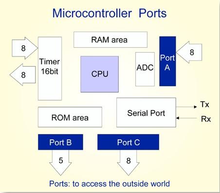 I/O Ports External interfaces: Serial Port Parallel Port Digital