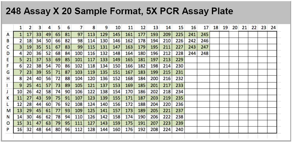 PCR Assay Plate. Figure 29.