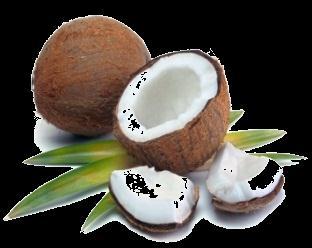 coconut oil methyl ester (after