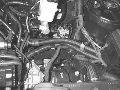 coolant hoses with coolant.
