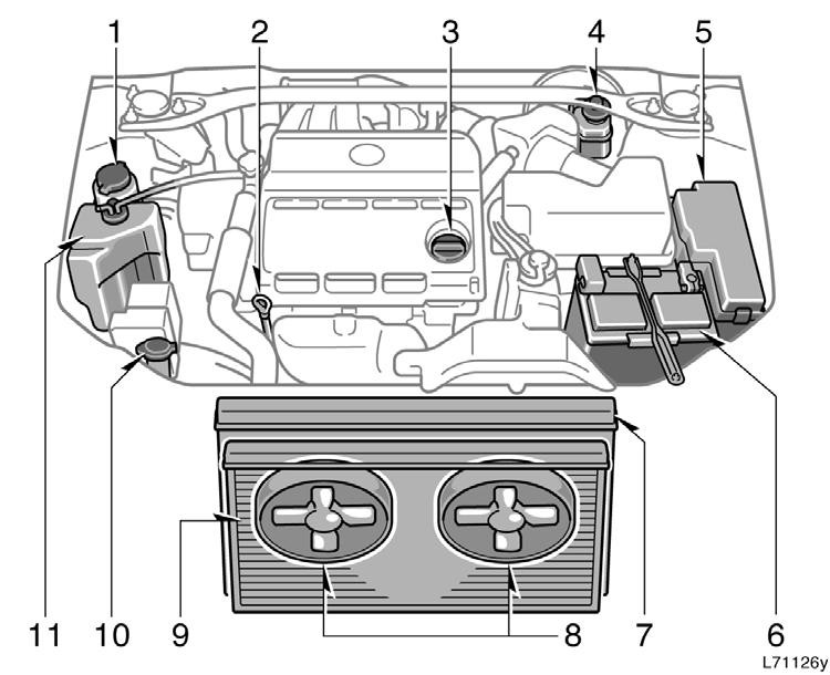 1MZ FE and 3MZ FE engines 1. Power steering fluid reservoir 2. Engine oil level dipstick 3. Engine oil filler cap 4.