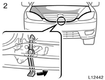 Before closing the hood, check to see that you have not forgotten any tools, rags, etc. Then lower the hood and make sure it locks into place.