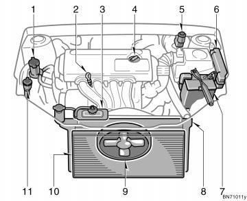 Engine compartment overview 1. Power steering fluid reservoir 2. Engine oil level dipstick 3. Engine coolant reservoir 4.