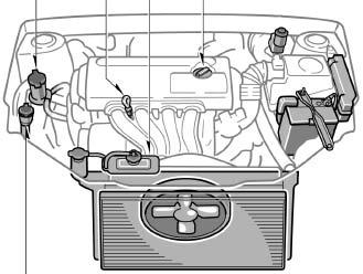 latch and raise hood Note: Regularly scheduled maintenance, including oil changes, will help extend the life of your