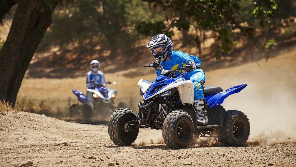 The kids' ATV that adults love too.