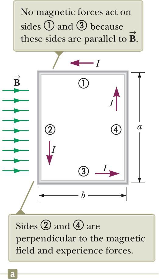Torque on a current-carrying wire in a magnetic field.