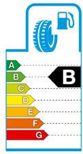The label is accompanied on the actual tyre and gives consumers useful information to assist them when purchasing tyres. On the left you can find an example of the EU tyre label.