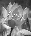 Tiwari, Maya 990 588 ea Love! A Daily Oracle for Healing $27.00 $45.00 Tiwari, Maya 236 pp Hardcover Yoga Love! A Daily Oracle for Healing is an invaluable handbook for nourishing the heart.