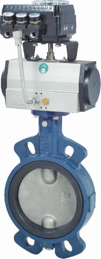 MAXFLOW Butterfly Valve with Pneumatic Actuator and Positioner Maxflow Butterfly