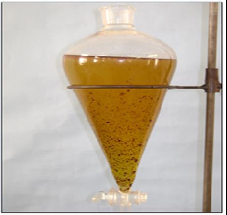 heated to 45 o C to melt the solid fats present in the oil by keeping on an electric heater which is having a magnetic stirrer for continuous stirring of the oil, it is shown in the figure 4.3.