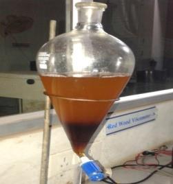 The mixture is allowed to settle for eight hours in a decanter to remove pulp portion present in the oil, which is precipitated at the bottom of the decanter.