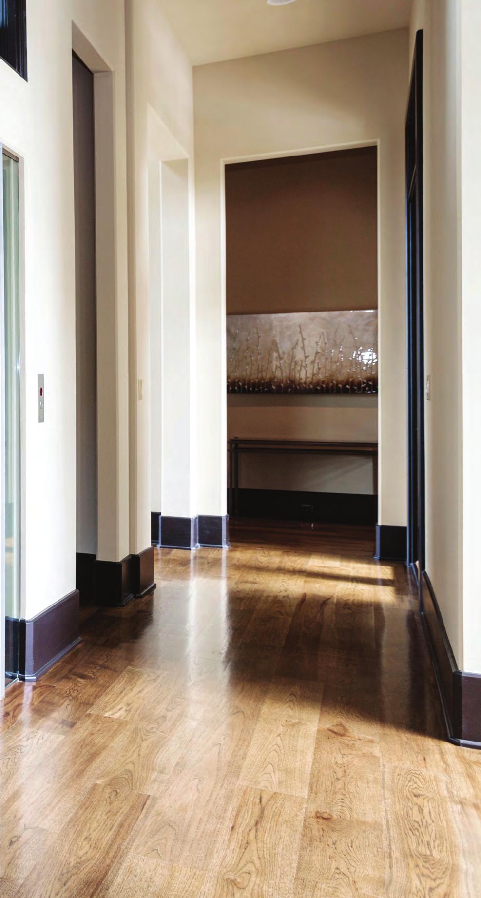 Classic. Modern. Traditional. Tasteful. Beautiful. The Symmetry Elevating Solutions team believes that any elevator should fit your home, style, and needs.