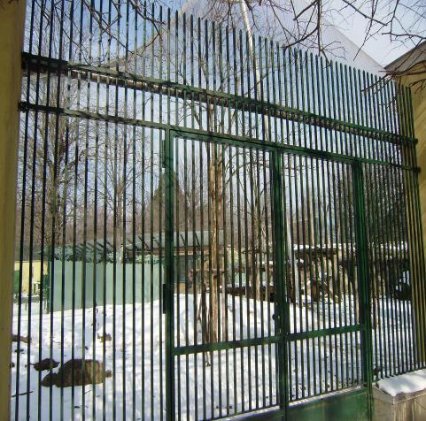 32 Slika 21: Načini ograjevanja v obori za leve v dunajskem živalskem vrtu