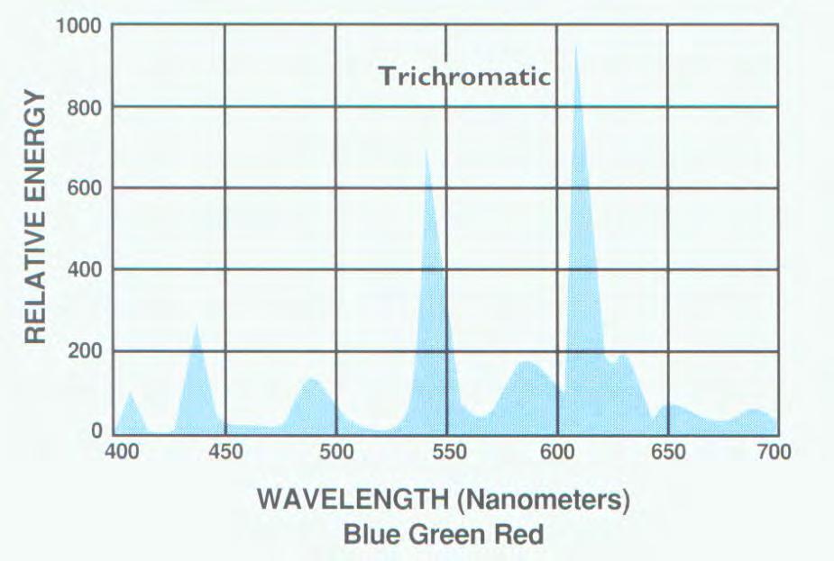THE ELEMENTS OF A FLUORESCENT Trichromatics or Triband phosphors Blend of three, or more, rare earth phosphors. Each phosphor produces a narrow band of light one blue, one green, one red.