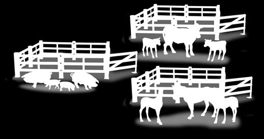 Fencing, pig and two piglets; Fencing, cow and two