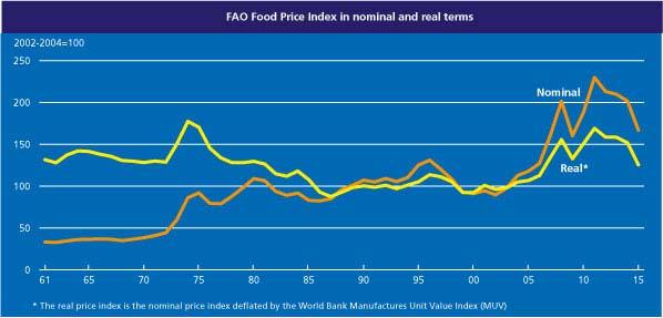 Food price index: what drives it?