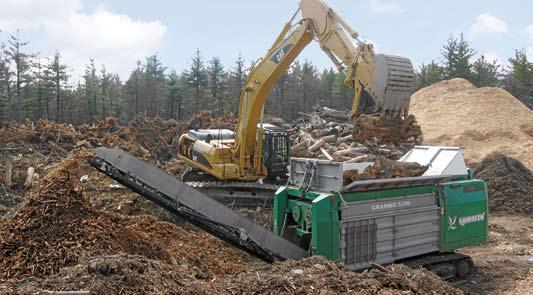 Biomass and waste wood treatment Wood is a valuable raw material, and waste wood can be reclaimed for use in chip board or even as fuel. All woody biomass can be treated to derive fuel and compost.