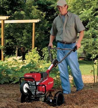 plants and prevents tines from catching fences and sidewalks when tilling close to them.
