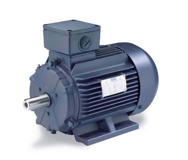 These high efficiency motors meet North American performance standards and EPACT energy efficiency mandates, and have.5 service factors.