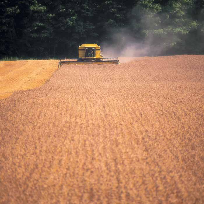 1999: Six generations down the line, the higher grain handling capacity and enhanced visibility were the hallmarks of the TR89