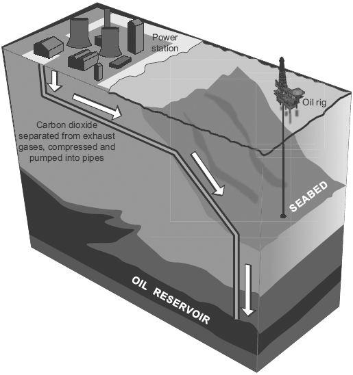 (d) Carbon dioxide is produced when fossil fuels burn in power stations. The diagram represents one idea to prevent excess carbon dioxide from entering the atmosphere.