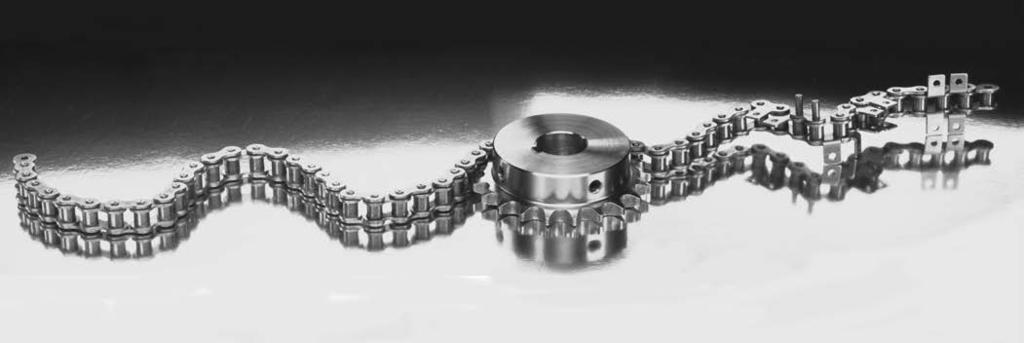 SPECIALTY MOISTURE GUARD Regal provides a wide range of high quality roller chain solutions to meet application needs for many different industries.