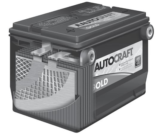 AUTOCRAFT / CARQUEST FLOODED BATTERY FEATURES BIC or Best-In-Class Venting System Engineered to vent gases in a controlled manner and ensures gases vent away from terminals reducing leakage