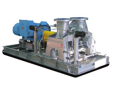 TDP Series Top Suction, Top Discharge Double Suction Pump API 610 10th Edition - BB2 Construction API PUMPS 360 Bearing Housing Available API