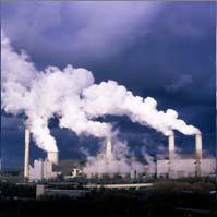 approximately 600 kg of CO 2 CO 2 ~600 kg Algal oil 1 barrel A 1,000 MW power station emits