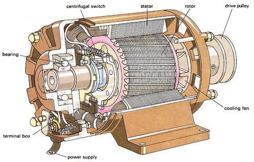 Electrical Systems Electrical Motors & Controls Using the diagram provided below, please answer questions 13-16. B. C. A. D. E. 13. Which one of the following items is A pointing to in the diagram above?