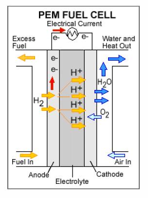In a Proton Exchange Membrane (PEM) fuel cell hydrogen (H2) is split into two protons (H+) that diffuse across the electrolyte membrane, whilst the two liberated electrons travel around an