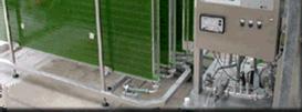 generation - Industrial processing Algae Production Systems Ponds, Photobioreactor Biomass Harvesting Sunlight O 2 Biofixation of CO 2 Co-products - feeds - fertilizers - biopolymers - glycerine -