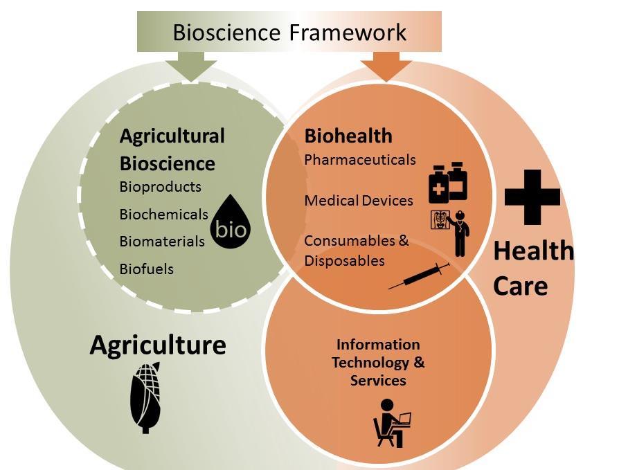 3 Bioscience Framework The bioscience cluster is difficult to measure because: It crosses over many different industries and involves many players.