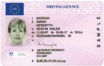Driver Licence