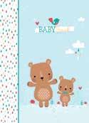 2 Baby Record Books 9 3 1 3 5 5 9 3 0 2 3 2 9 76 colour fill-in pages, includes