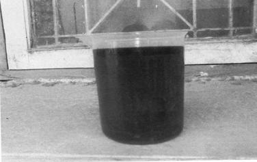In these study ENTROMORPHA algae is used to extract the biodiesel. Initially the algae sample was collected from sea back water and dried with the room for about 72 hours.