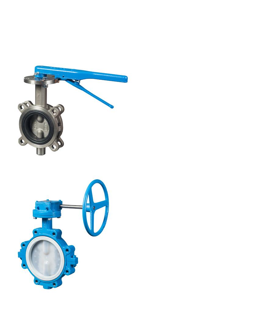 CONSTRUCTION SPECIFICATION Pratt SB Series Butterfly Valves Sizes: 2 through 12 Body: Ductile Iron (65-45-12) and CF8M Stainless Steel Disc: Ductile Iron Nickle Plated, Ductile Iron Nylon 11, CF8M