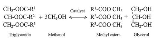 Molar Ratio, Reaction Temperatures, Time and Catalyst Concentration.