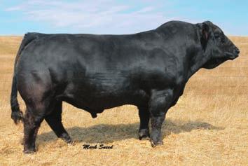 31 -.14.78 143 79 HXC CONQUEST 445P Polled PB AR 2.2-6 6.6 98.3 6.3 27.1 57.3 19.4.9.62.16.