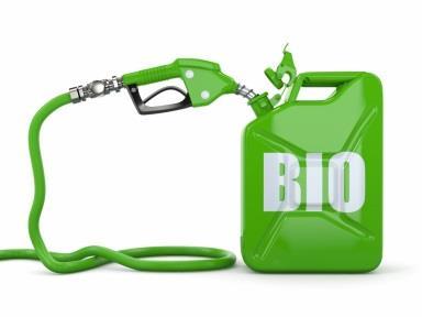 Outline European Biodiesel Board EU Biodiesel Industry Market Status and Member State production