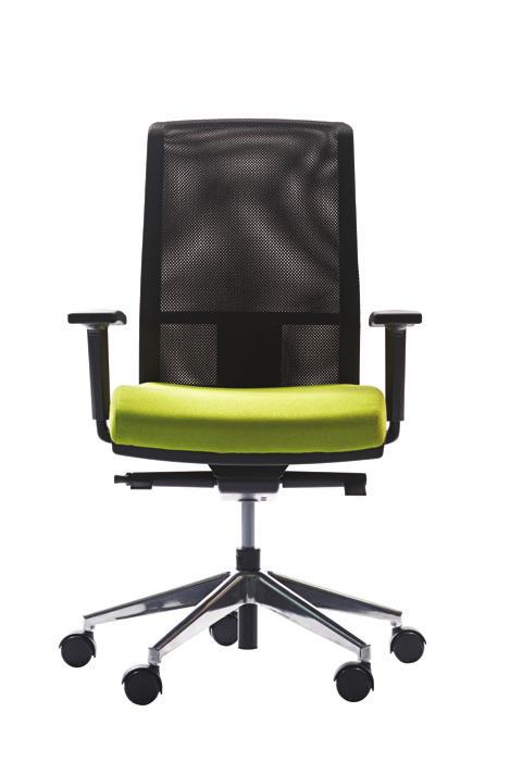 TEL 101 Executive chair shown with height adjustable netting backrest,