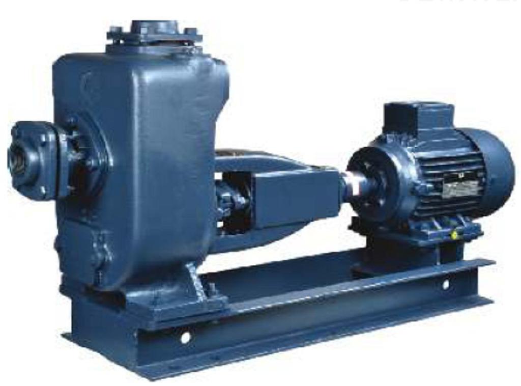 Dewatering Pumps KW / HP : Up to 18.5 / 25 Capacity : Up to 258M3/Hr Head : Up to 36 Mtrs.