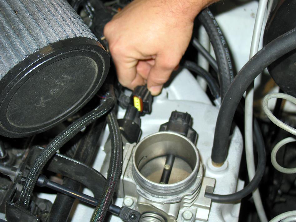 3.3 Disconnect the throttle body electrical connections at the IAC motor, TPS and MAP sensor if attached to