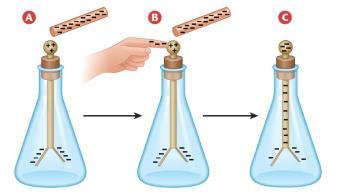 The image on the left shows an electroscope being charged by contact. The leaves of the electroscope repel each other when they have the same charge.