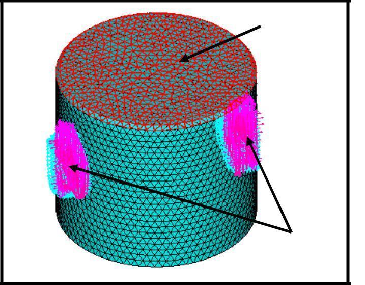 freedom) arrested. Figure shows the boundary conditions applied to the piston model in Ansys.