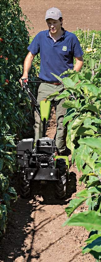 G 45 Gear 1 + 1 reverse Contra-rotating tiller The contra-rotating tiller is ideal for heavy soil! G 45 is a compact walking tractor ideal for working in narrow spaces both in horticulture or gardens.