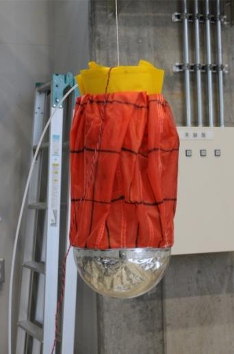 including sensor, telemetry, transmitter and battery is in capsule.
