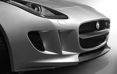 STYLE ACCESSORIES SELECTION CARBON FIBRE ROLL HOOPS Accentuate your F-TYPE s sporting