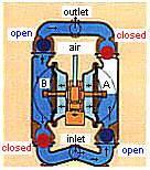 The opposite diaphragm is pulled in by the shaft connected to the pressurized diaphragm.