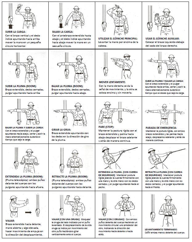 Crane Safety Resource Guide P AGE 9 SEÑALES MANUALES PARA